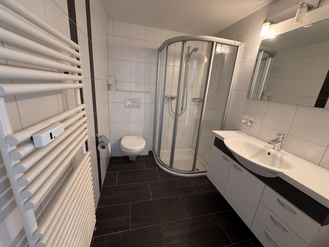 Badezimmer mit Dusche, WC, Waschtisch und Handtuchheizung